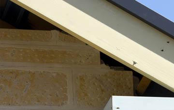 soffit repair Mullion